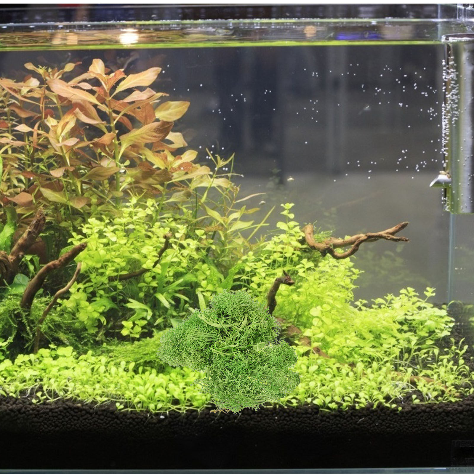 Sphagnum Moss Dry - ブラウンスファグナム造園用フェイクモス屋外人工植物室内装飾クラフト盆栽人工装飾用