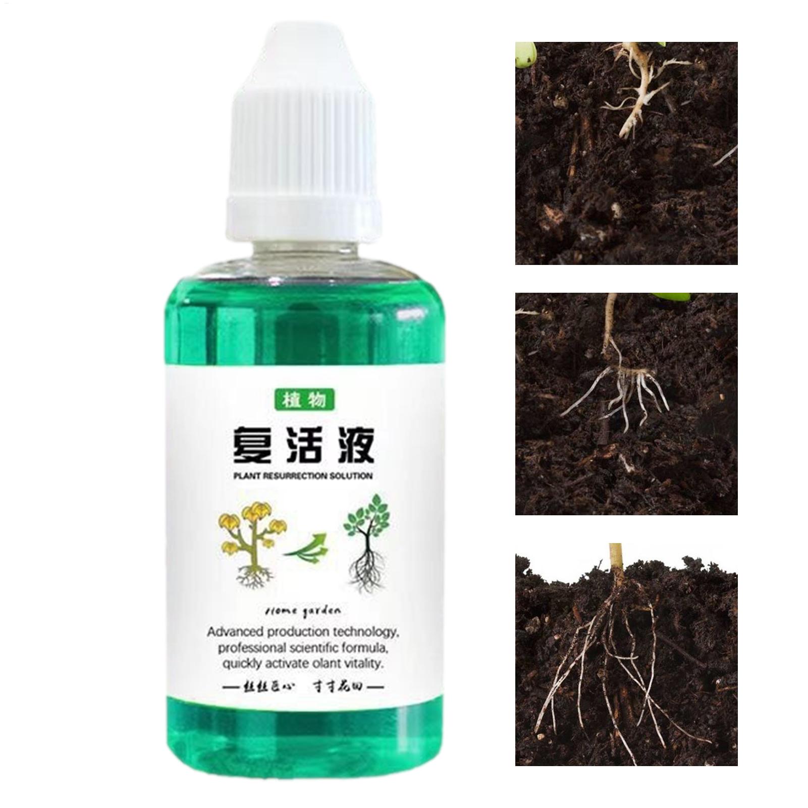 Root Stimulator Liquid - 50ml 根刺激剤 植物復活液 野菜肥料 根ブースター 果実根ブースター
