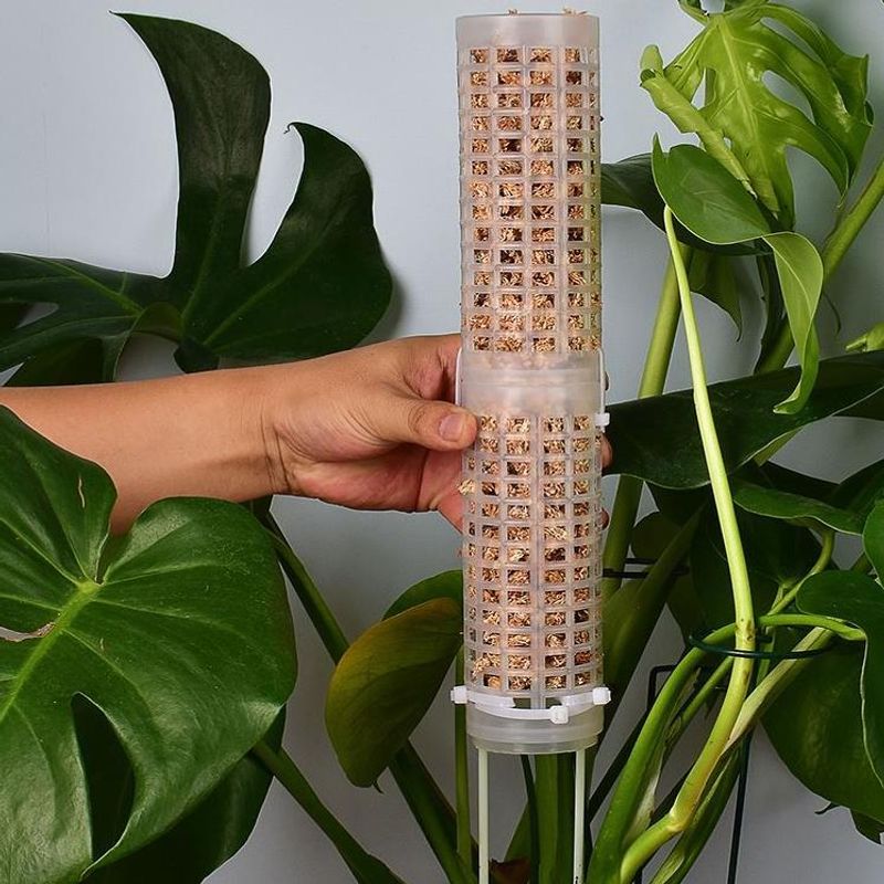 Sphagnum Moss Dry - アクセサリープラスチック製モススティック、積み重ね可能なトーテムスティック、蘭、モンステラ、花、つる性植物用のスファグナム