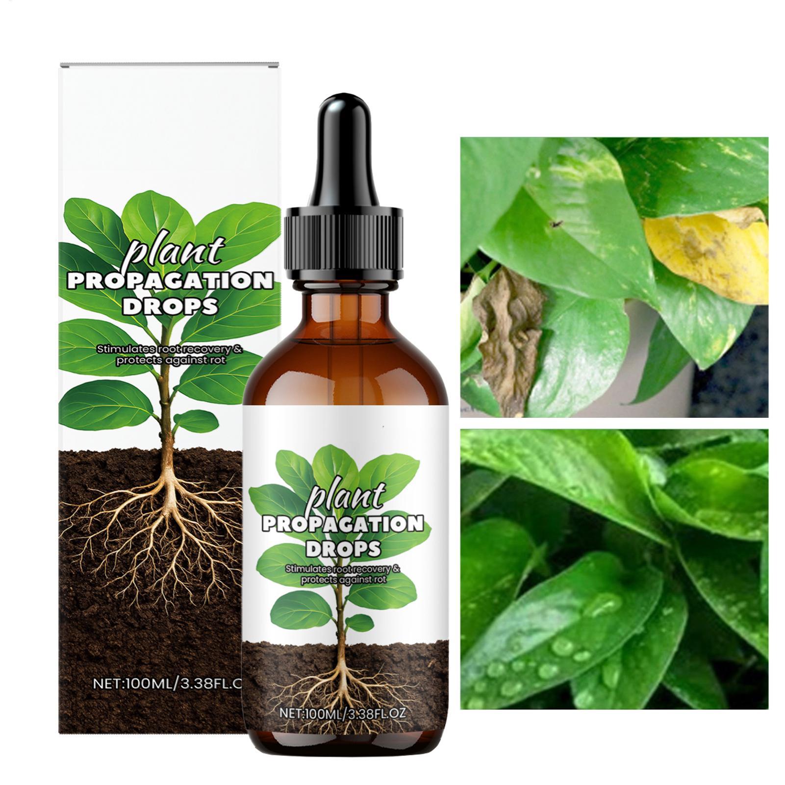 Root Stimulator Liquid - 根の成長促進剤 100ml 液体根刺激剤 健康な植物のための強力な根 室内/屋外園芸 水/土壌での繁殖