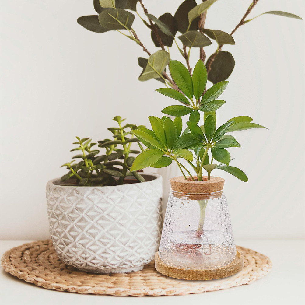 Propagation Station Vase - 2個入りガラス製水耕栽培花瓶、火山型カップ繁殖ステーション、透明テラリウムジャー、木製蓋付きトレイ、オフィスデスクトップ植物装飾