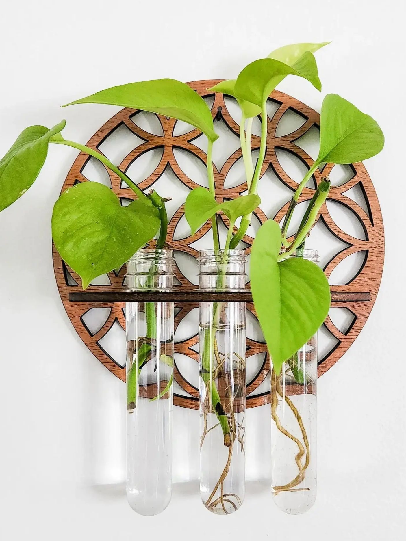 Propagation Station Vase - 庭の壁プランター屋内木製サークルプラントハンガー壁掛け花瓶ラック3本の試験管付き植物繁殖ステーション