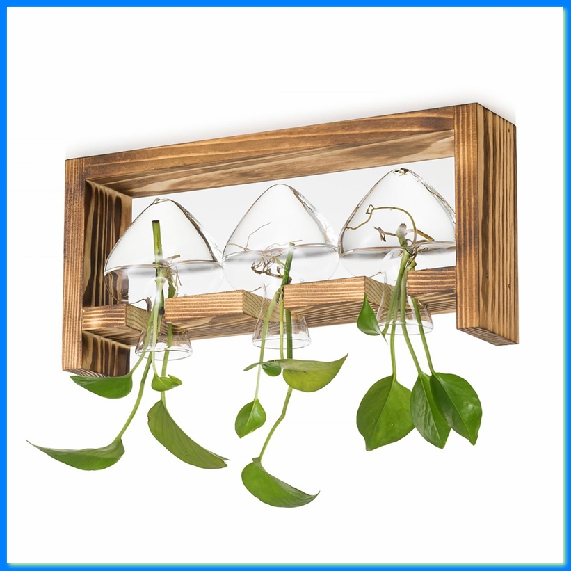 Propagation Station Vase - 植物用ガラス繁殖ステーション：木製フレーム付きヴィンテージ花瓶装飾セット、リビングルーム、オフィス、棚用-A50M