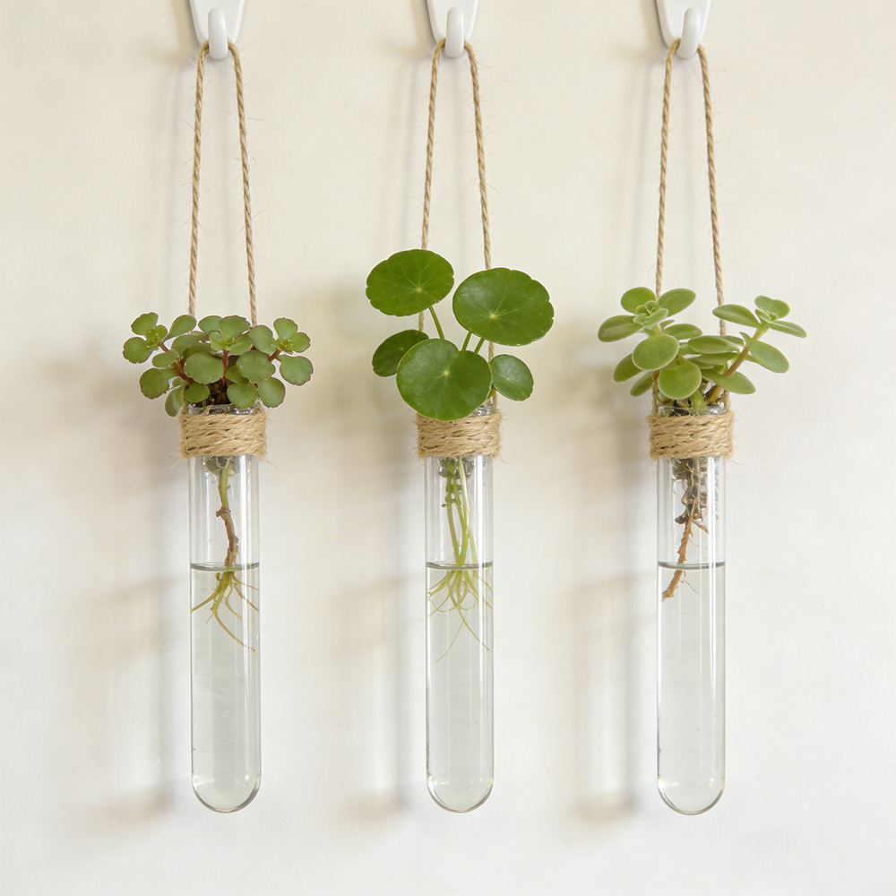 Propagation Station Vase - 水耕栽培フラワーベース壁掛け試験管花瓶水耕栽培ホームオフィス装飾エアプランツホルダーホームガーデン装飾