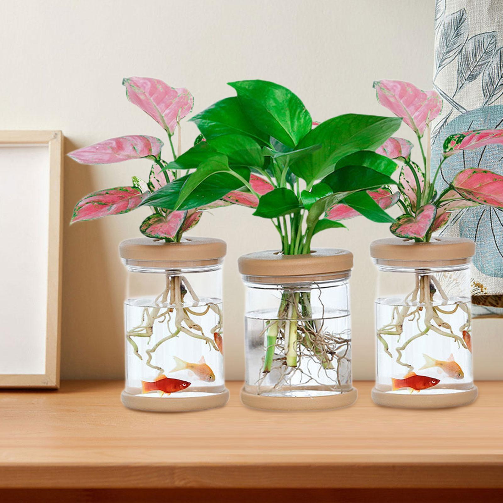 Propagation Station Vase - 3 個の水耕栽培花瓶装飾花瓶農家バルコニーキャビネット用