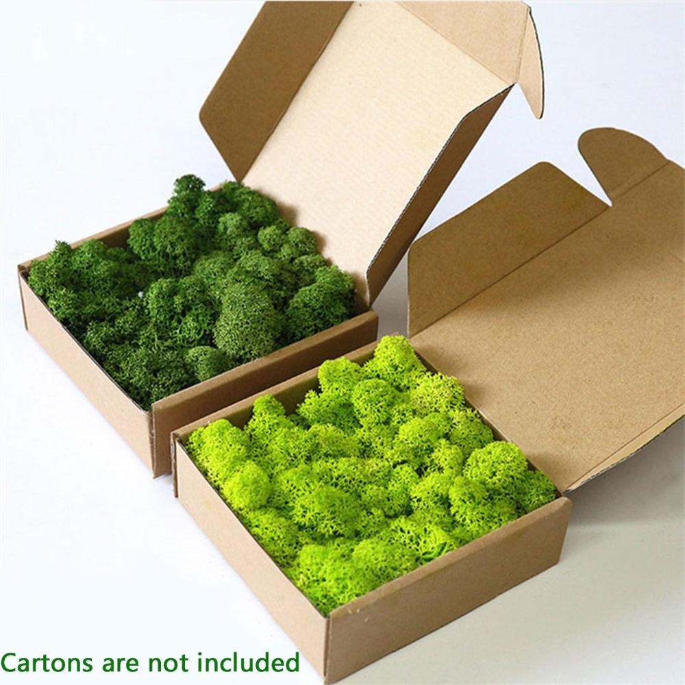 Sphagnum Moss Dry - 人工植物永遠の命モスガーデンクリスマス装飾壁 Diy フラワーマイクロ風景アクセサリー