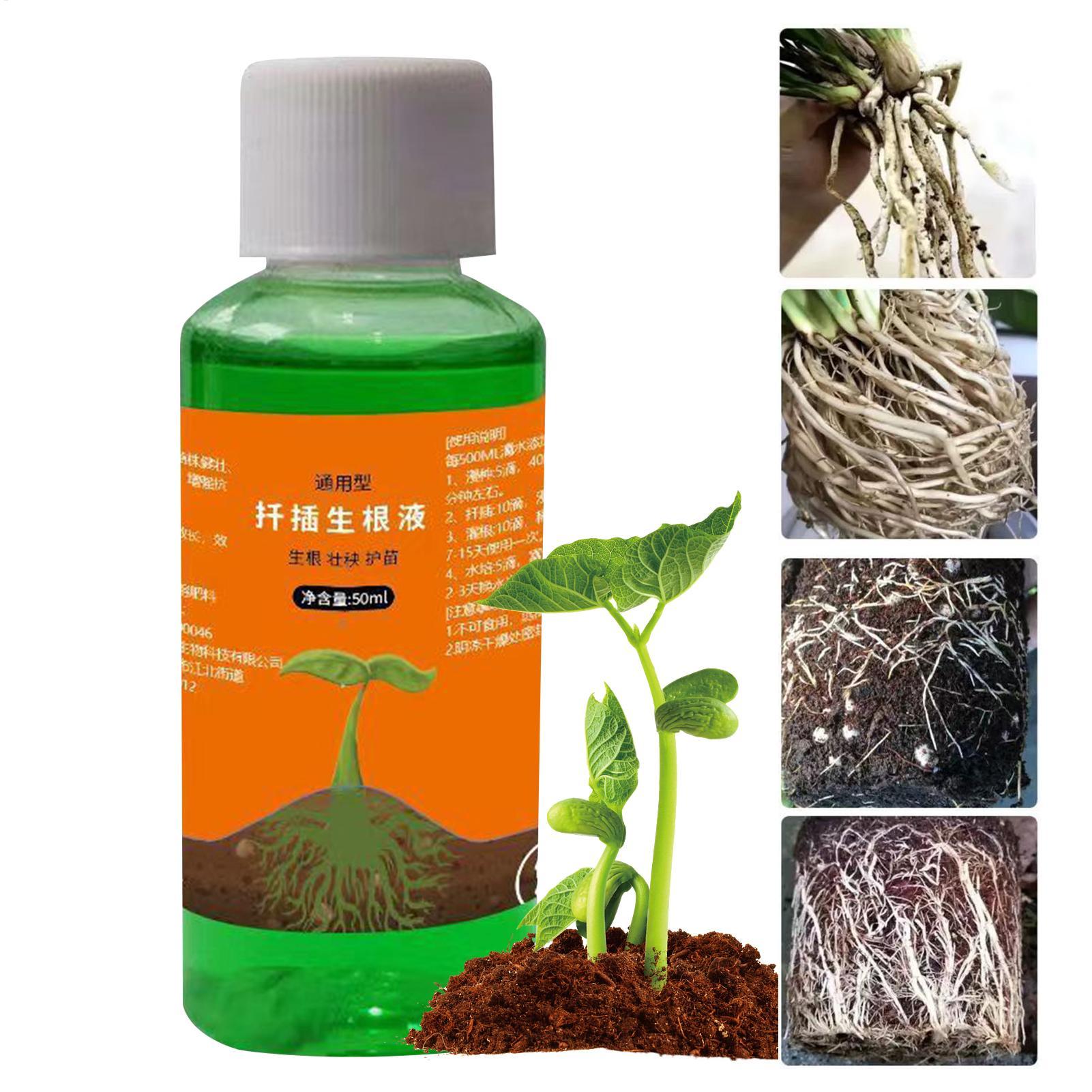 Root Stimulator Liquid - 植物挿し木用高効率根刺激剤、発根促進剤、庭園植物用速根成長促進剤、移植栄養剤
