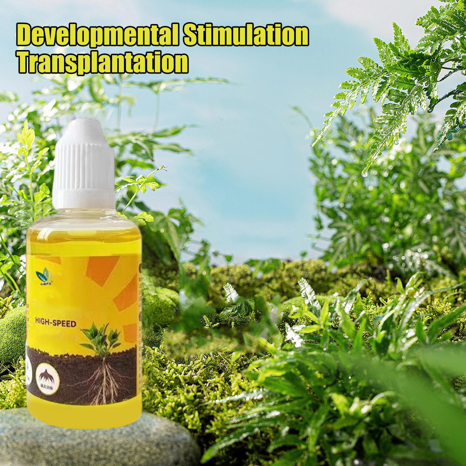 Root Stimulator Liquid - 植物復活液 50 ミリリットル花果物野菜肥料栄養液蘭肥料植物復活
