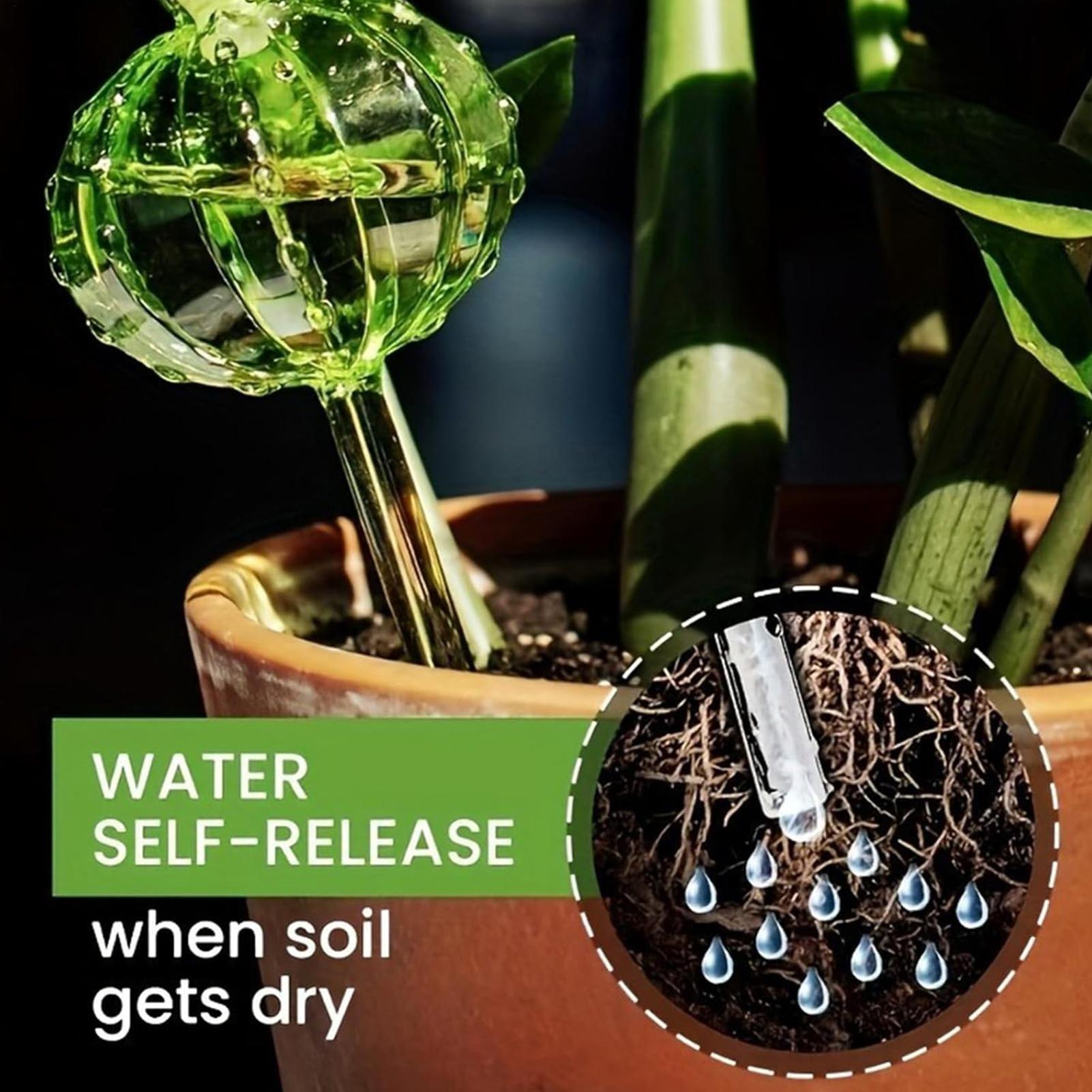 Self Watering Insert - 植物散水ステーク 3本セット スローリリース式 バケーションケア用 植木鉢用自動散水ステーク 花、蘭、庭、ヤード用
