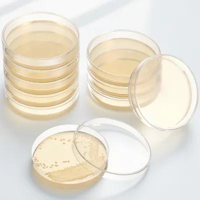 Agar Tissue Culture - 20個入りプレポアード寒天培地プレート、栄養寒天ペトリ皿、科学実験、研究室、学校研究、組織培養用