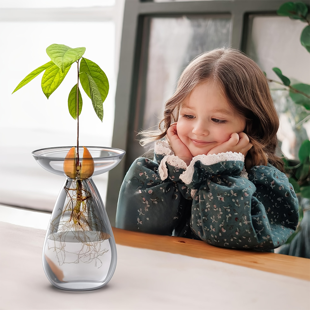Propagation Station Vase - アボカド種子スターターベース透明植物繁殖ステーションガラスアボカドツリーフラワーベースガーデニング愛好家のための家の装飾