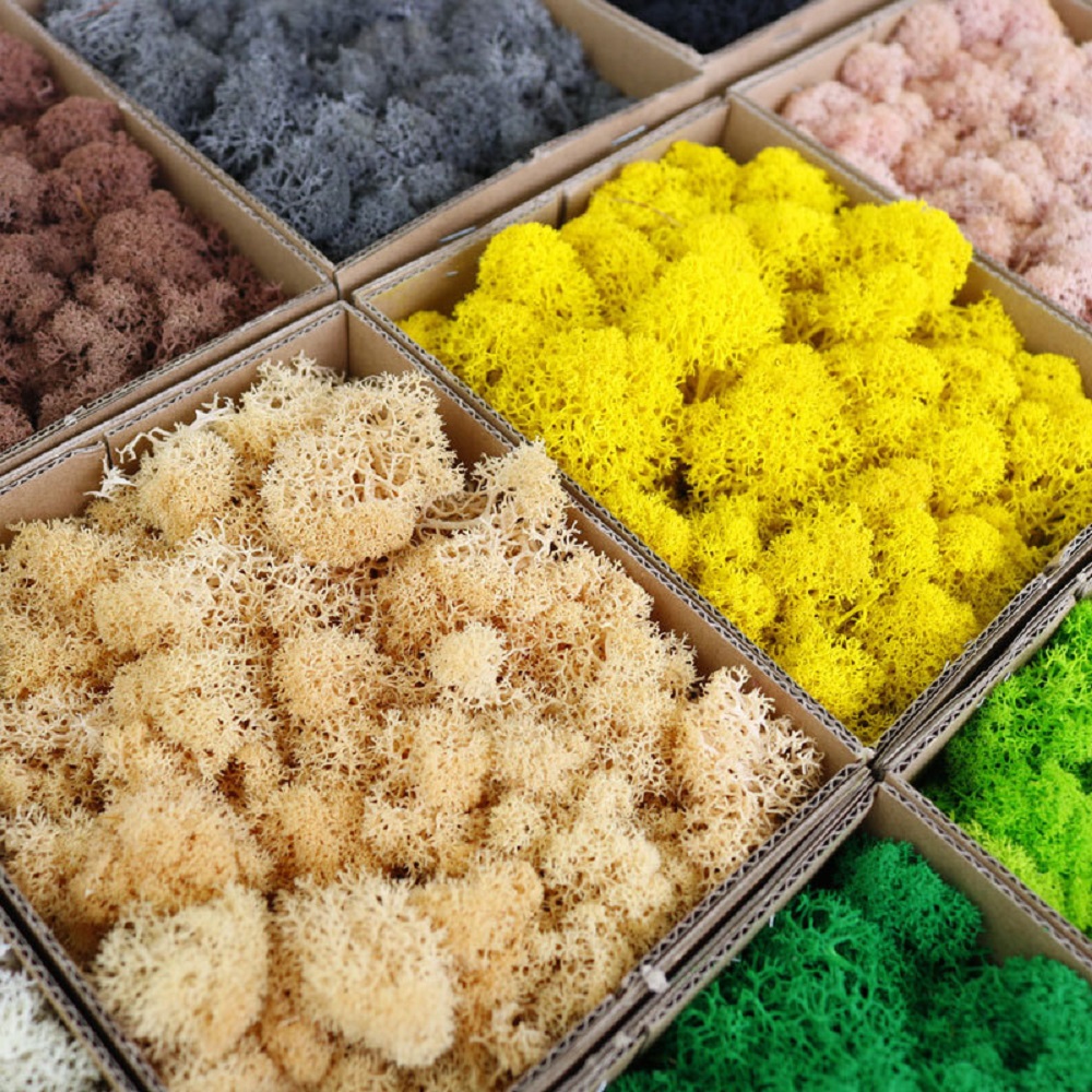 永遠の生活苔 DIY 工芸品草人工緑植物ホームルーム庭の装飾 - Sphagnum Moss Dry のレビューと価格