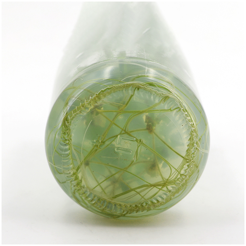 MS培地（寒天・ショ糖不使用）植物組織培養栄養培地 4.74 - Agar Tissue Culture のレビューと価格