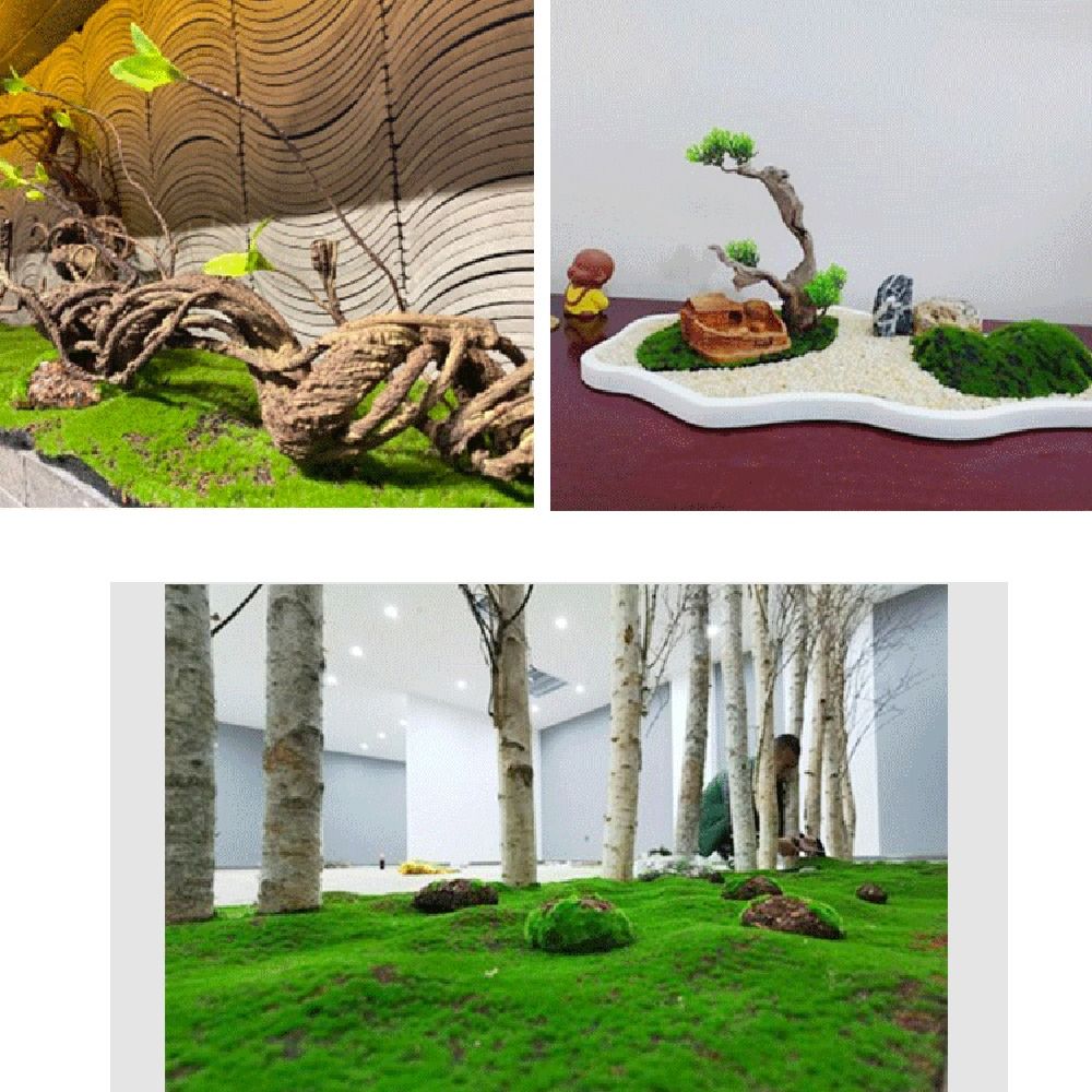 DIYフェイクモスグラスターフ耐久性のある永遠の生命シミュレ - Sphagnum Moss Dry のレビューと価格