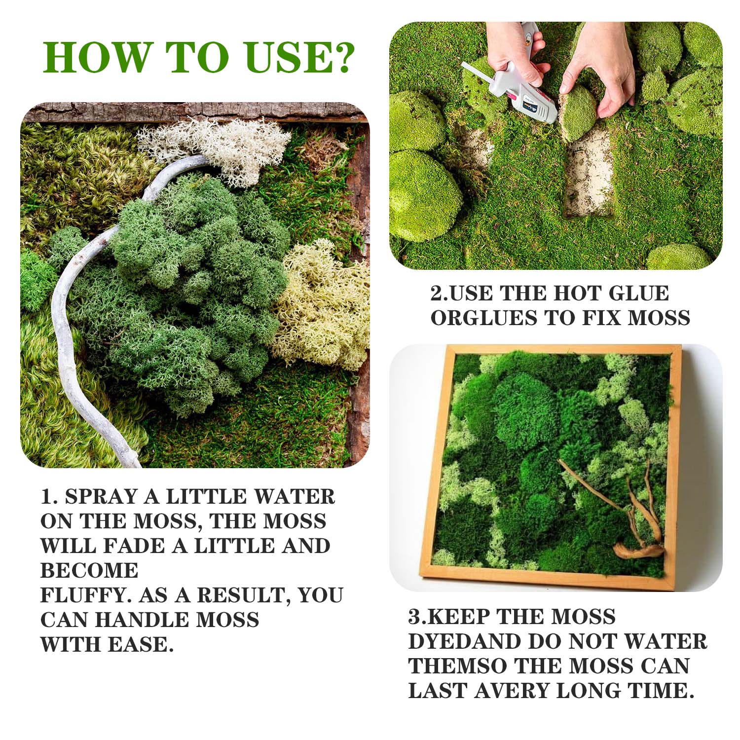 人工緑の植物永遠の生活苔 DIY 草庭工芸品ホームルームの装 - Sphagnum Moss Dry のレビューと価格