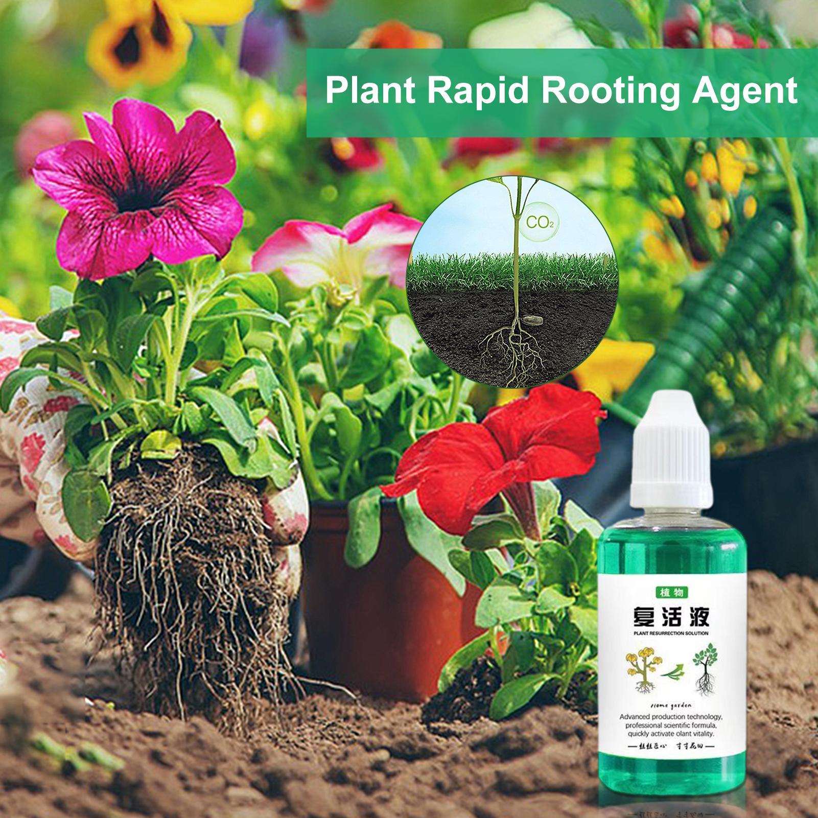 50ml 根刺激剤 植物復活液 野菜肥料 根ブースター 果実 - Root Stimulator Liquid のレビューと価格