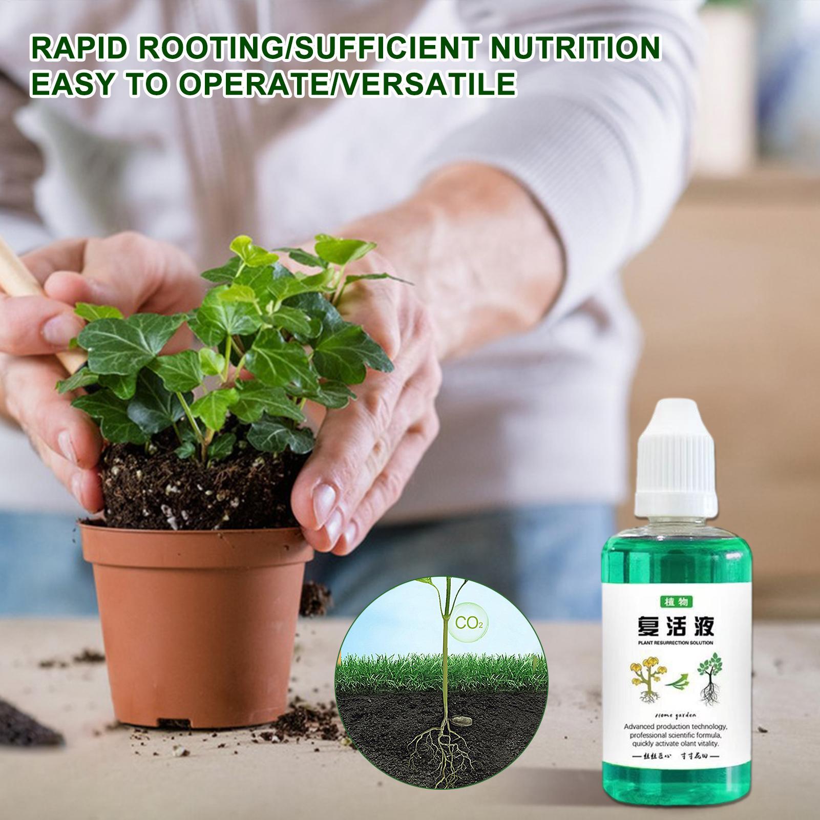 50ml 根刺激剤 植物復活液 野菜肥料 根ブースター 果実 - Root Stimulator Liquid のレビューと価格