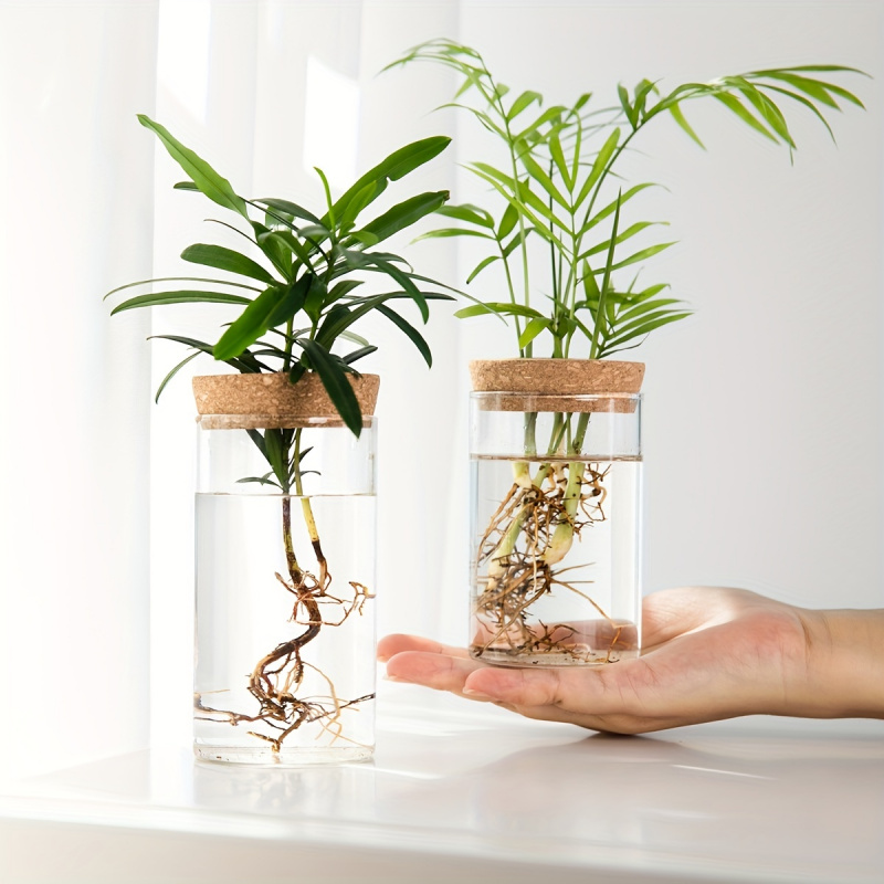 家の装飾のための水耕植物の花瓶、デスクトップガラスプランター - Propagation Station Vase のレビューと価格