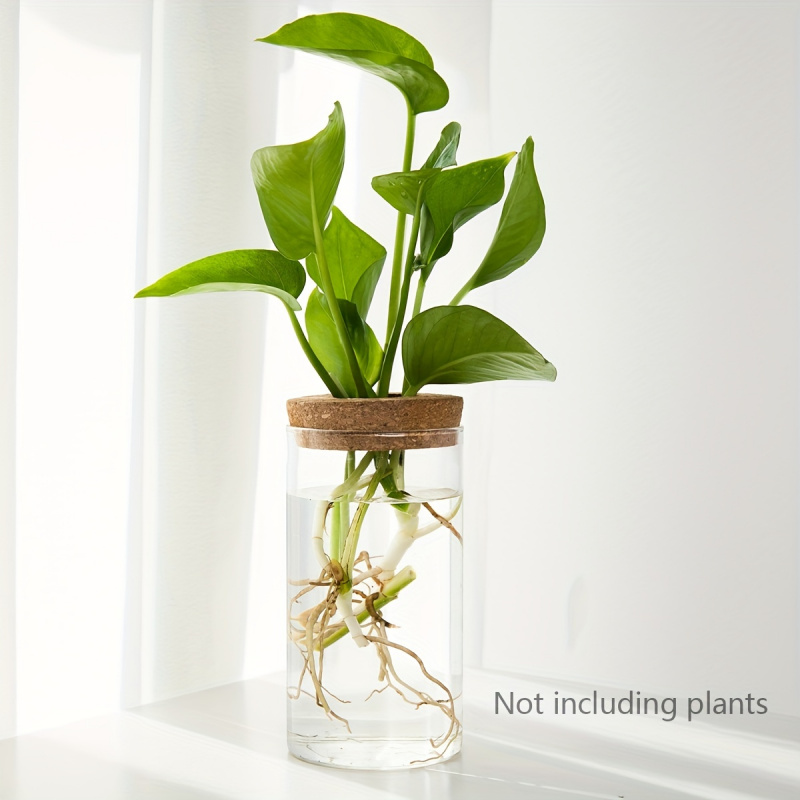 家の装飾のための水耕植物の花瓶、デスクトップガラスプランター - Propagation Station Vase のレビューと価格