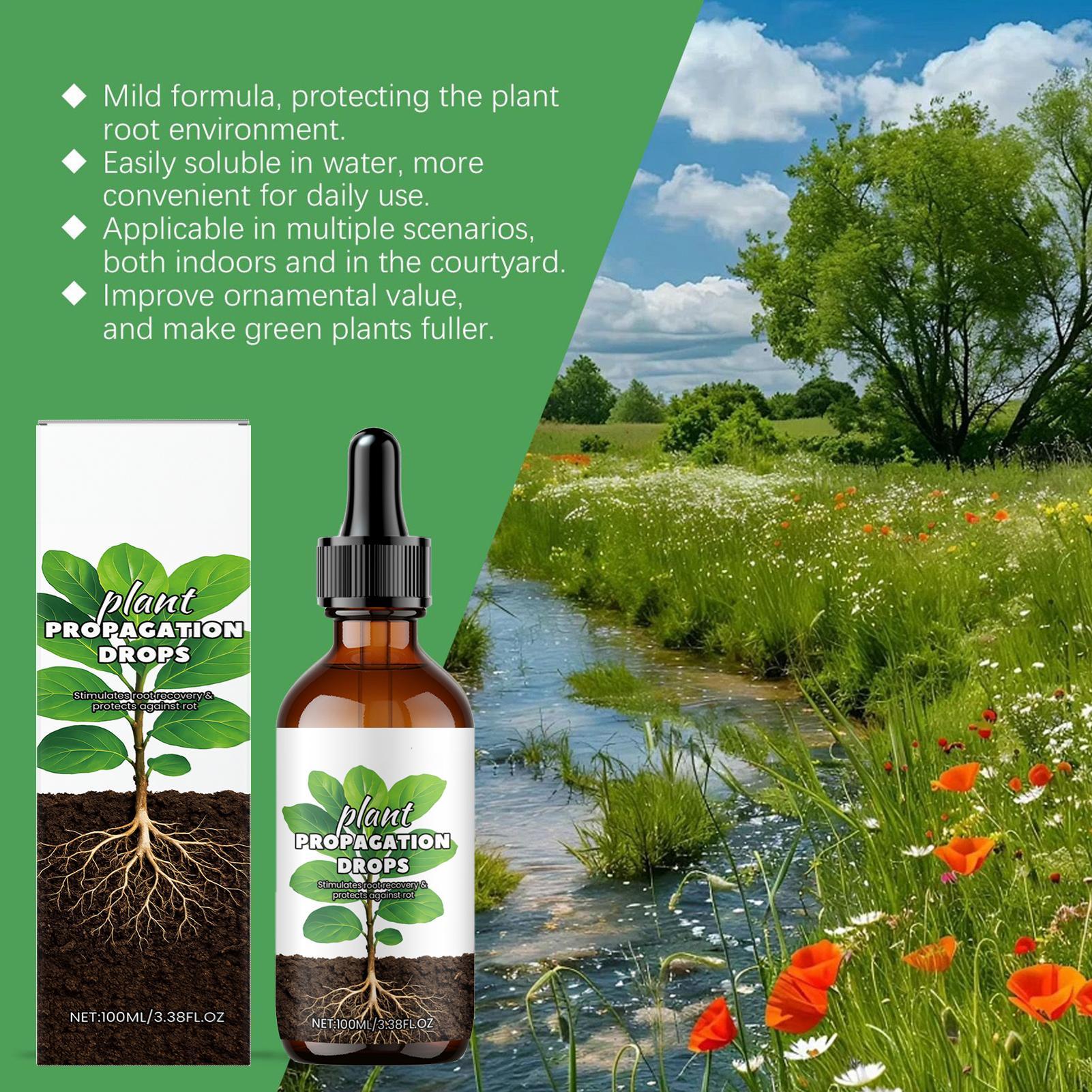 根の成長促進剤 100ml 液体根刺激剤 健康な植物のための - Root Stimulator Liquid のレビューと価格