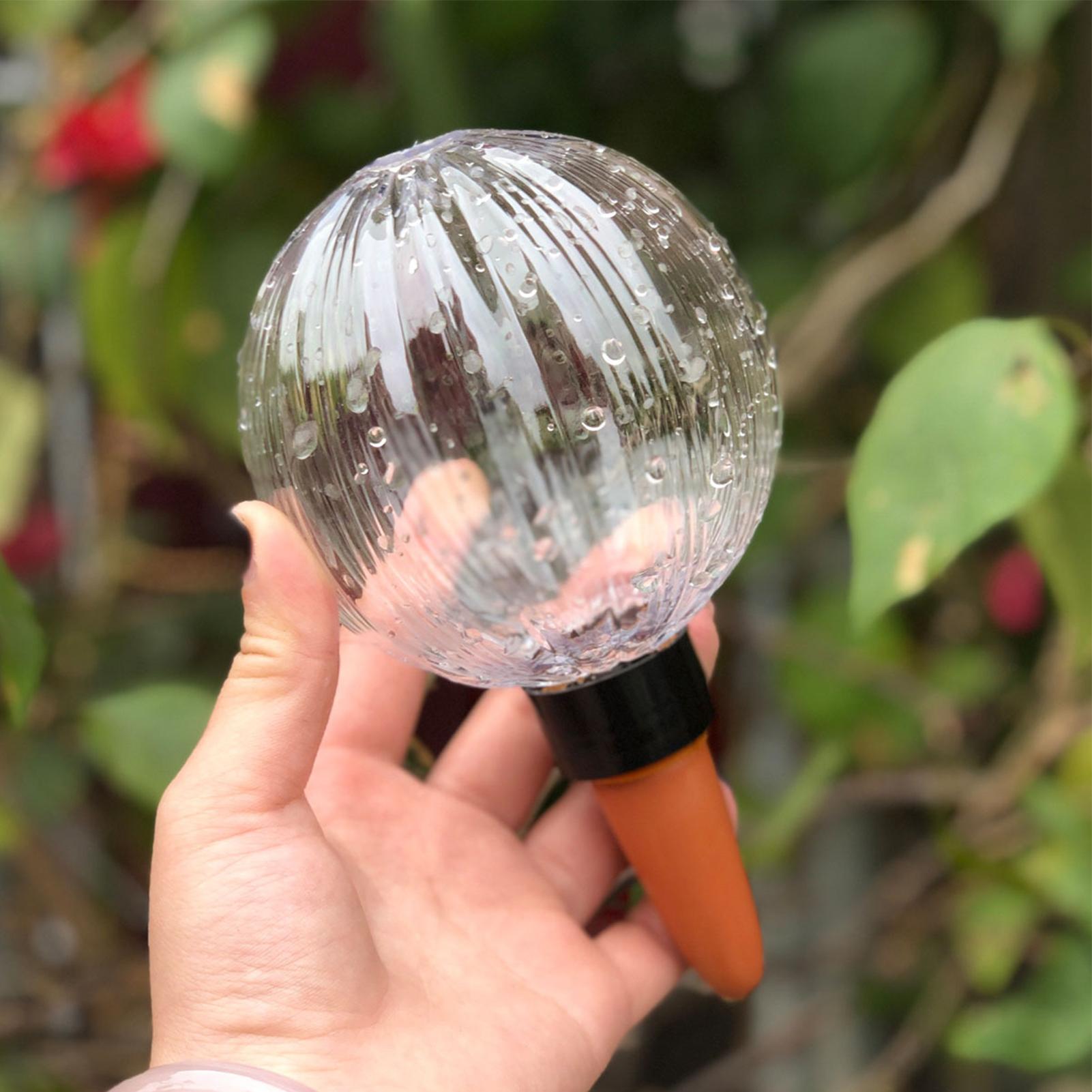 自動給水プランターインサート 500ml 大型自動給水グロー - Self Watering Insert のレビューと価格