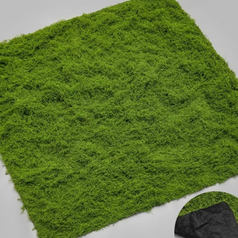 DIY人工芝ラグ 耐久性 水やり不要 フェイクモス芝生 本物 - Sphagnum Moss Dry のレビューと価格