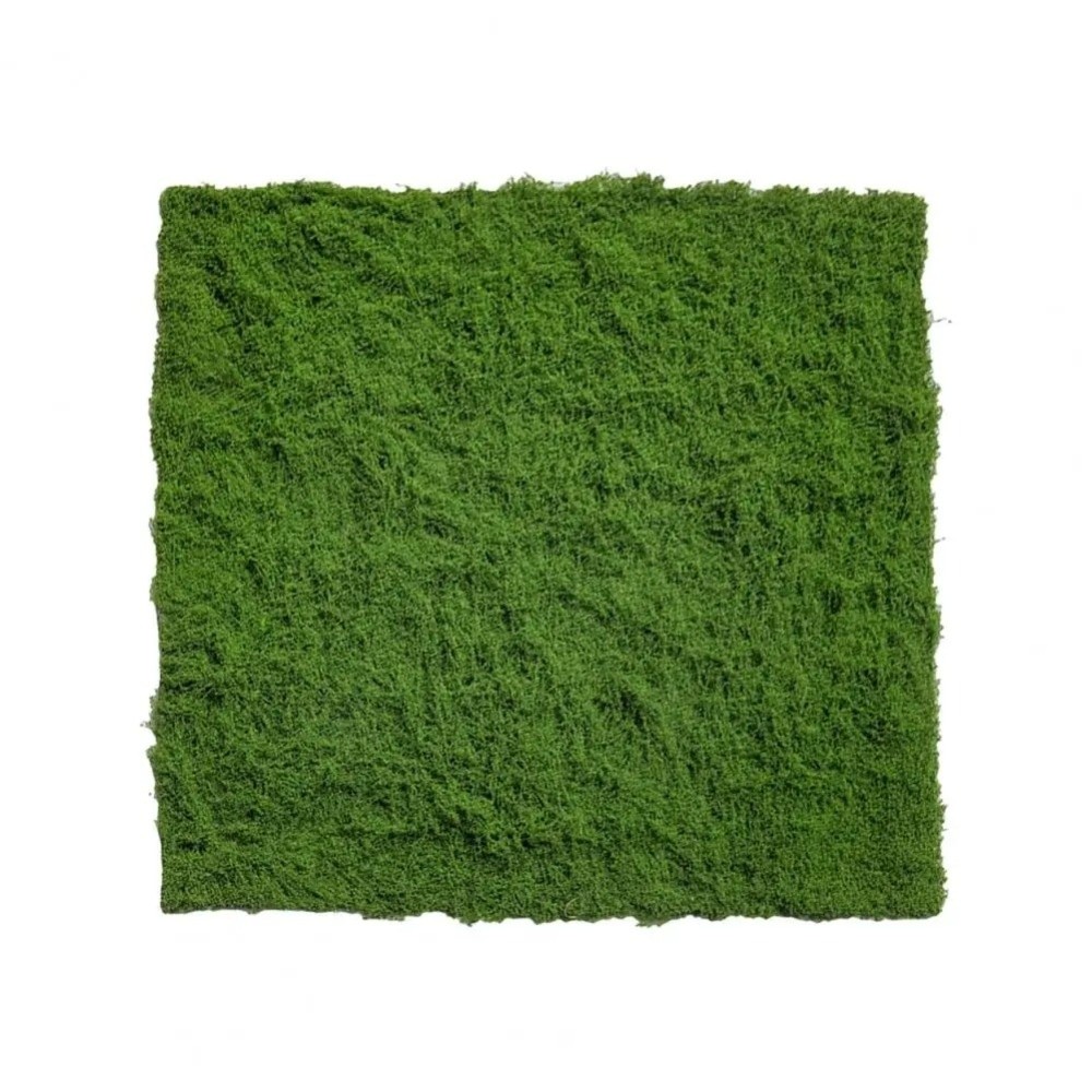 DIY人工芝ラグ 耐久性 水やり不要 フェイクモス芝生 本物 - Sphagnum Moss Dry のレビューと価格
