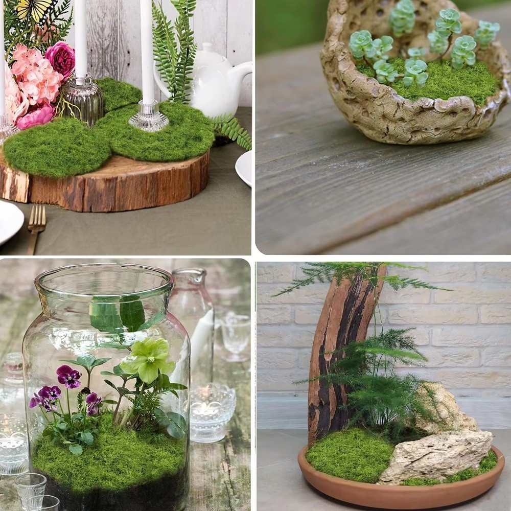 DIY人工芝ラグ 耐久性 水やり不要 フェイクモス芝生 本物 - Sphagnum Moss Dry のレビューと価格