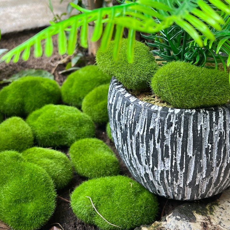 100/5 個人工苔石フェイクグリーン苔石植物 DIY 工芸 - Sphagnum Moss Dry のレビューと価格