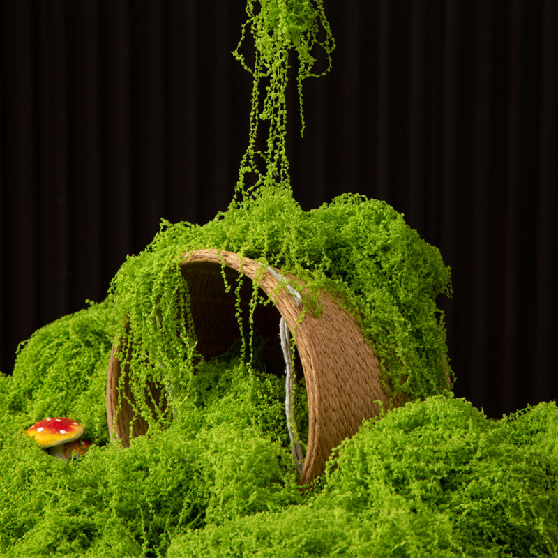 200 グラム永遠の命苔 DIY 工芸品草人工緑植物ホームル - Sphagnum Moss Dry のレビューと価格