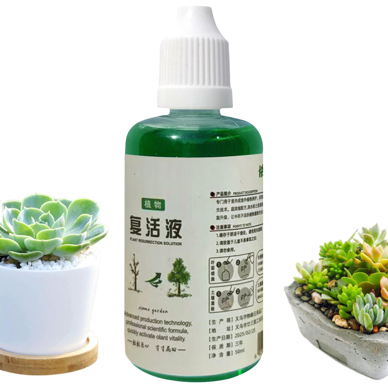 根刺激剤 植物復活液 野菜肥料 根促進剤 果実根促進剤 発根 - Root Stimulator Liquid のレビューと価格