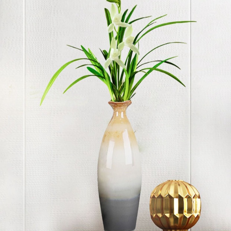 550ml 蘭専用肥料 ファレノプシスの成長と開花のための微 - Rooting Hormone Powder のレビューと価格