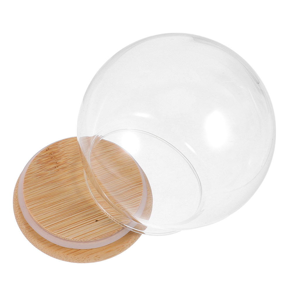 透明ガラスドーム型防塵ディスプレイ球体13cm木製ベース付き - Plastic Dome Clear のレビューと価格