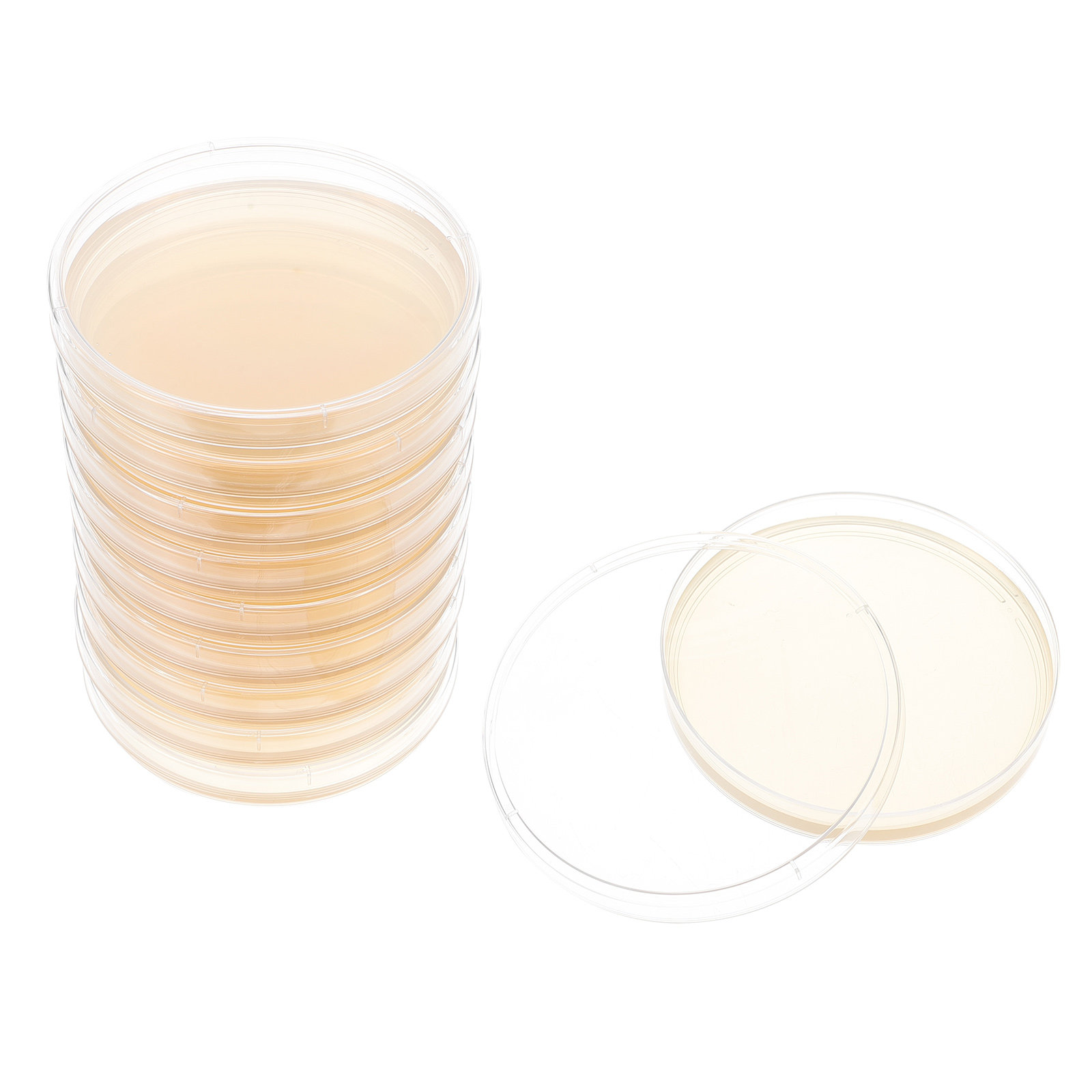 10 個の栄養寒天プレート、科学フェアプロジェクトラボ用のプ - Agar Tissue Culture のレビューと価格