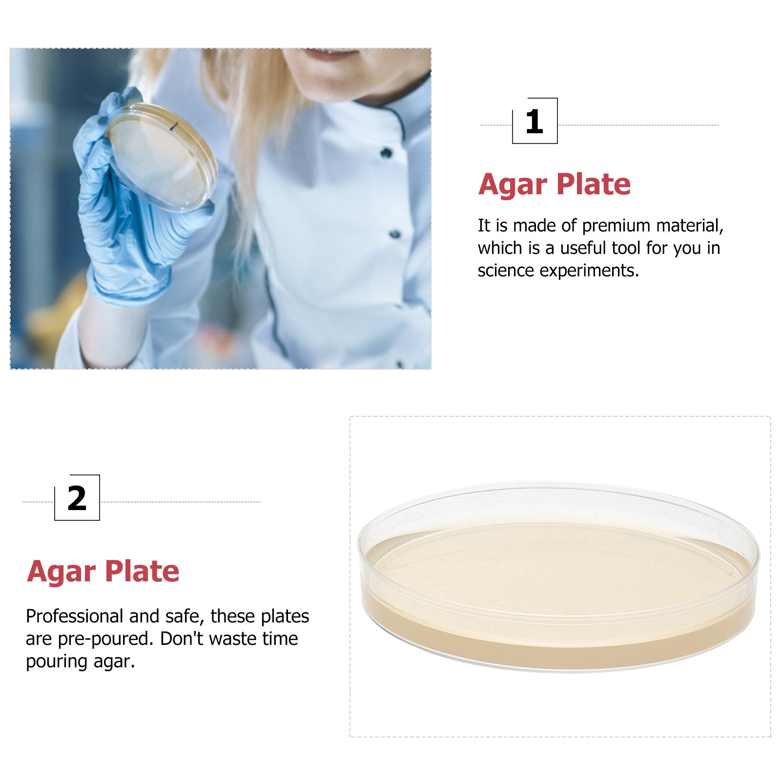10 個の栄養寒天プレート、科学フェアプロジェクトラボ用のプ - Agar Tissue Culture のレビューと価格