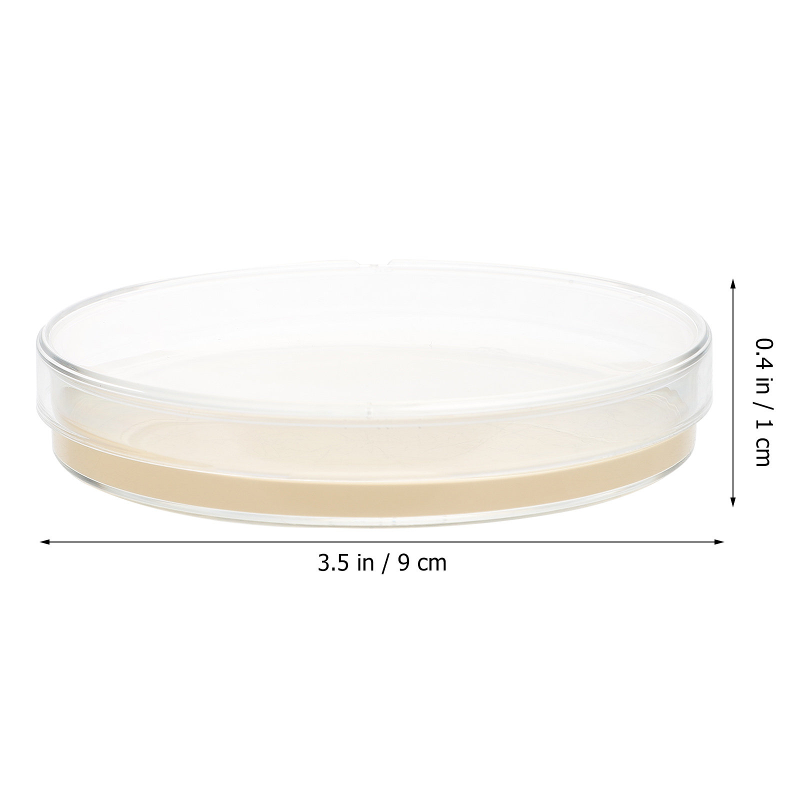10 個の栄養寒天プレート、科学フェアプロジェクトラボ用のプ - Agar Tissue Culture のレビューと価格