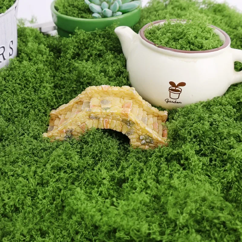 永遠の人工緑苔芝生ミニ風景フェイクグラスDIYクラフトルーム - Sphagnum Moss Dry のレビューと価格