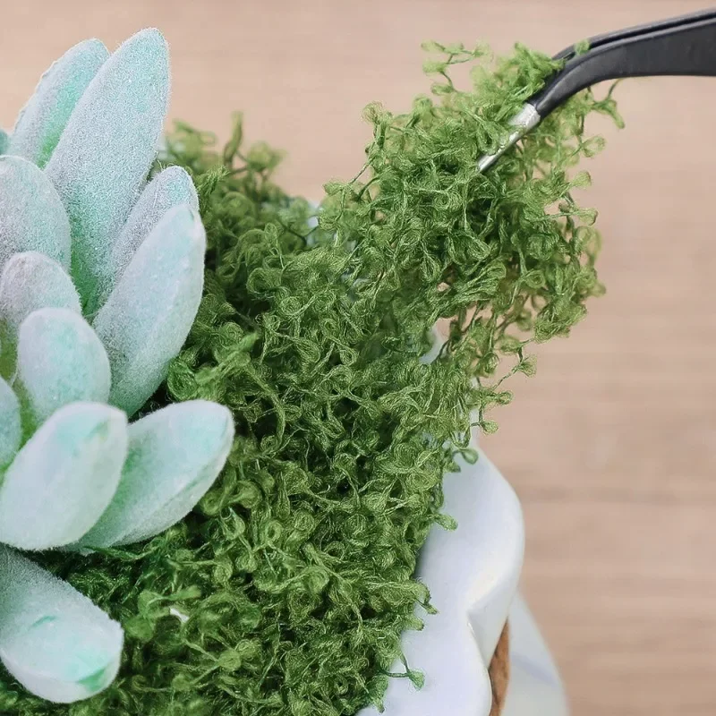 永遠の人工緑苔芝生ミニ風景フェイクグラスDIYクラフトルーム - Sphagnum Moss Dry のレビューと価格