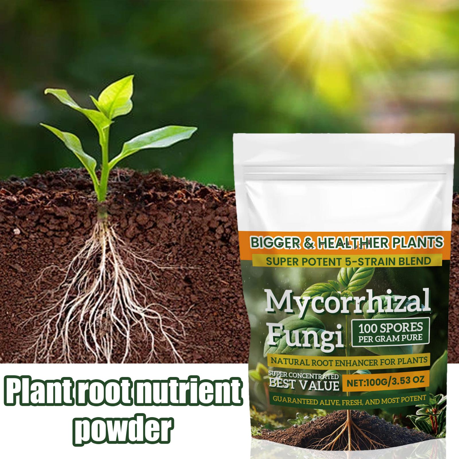 新しい植物栄養粉末 100 グラム植物強化剤栄養粉末多目的発 - Rooting Hormone Powder のレビューと価格
