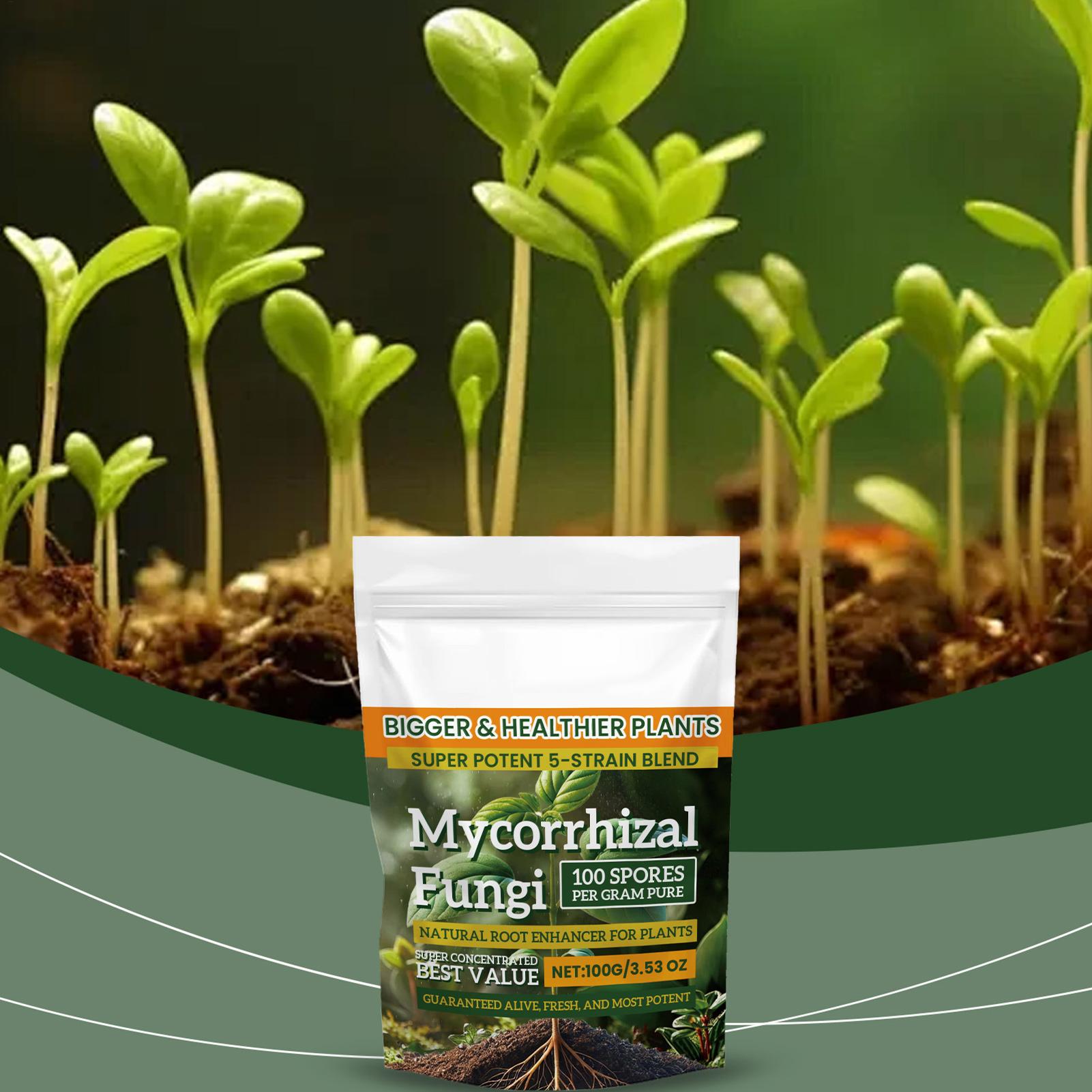 新しい植物栄養粉末 100 グラム植物強化剤栄養粉末多目的発 - Rooting Hormone Powder のレビューと価格