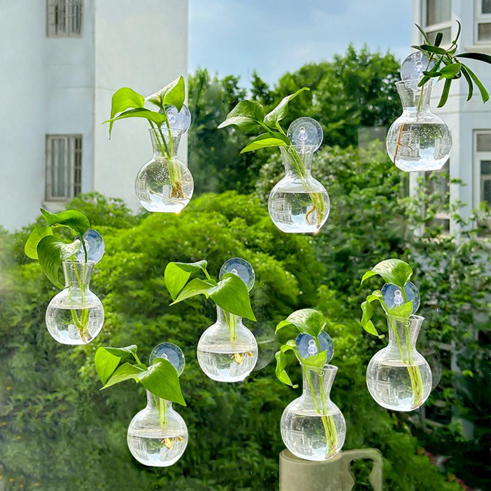 窓用プランター花瓶 窓用植物ホルダー 1/2/3/4/6/8 - Propagation Station Vase のレビューと価格