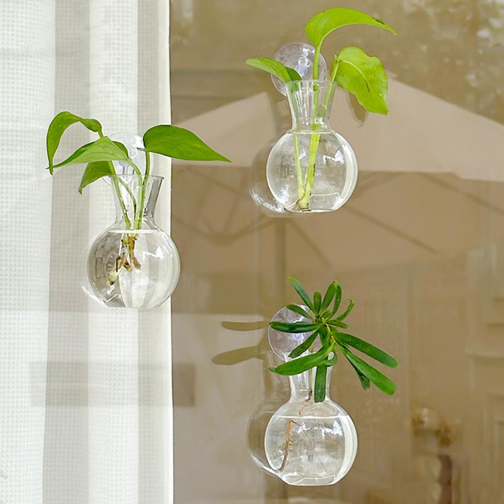 窓用プランター花瓶 窓用植物ホルダー 1/2/3/4/6/8 - Propagation Station Vase のレビューと価格