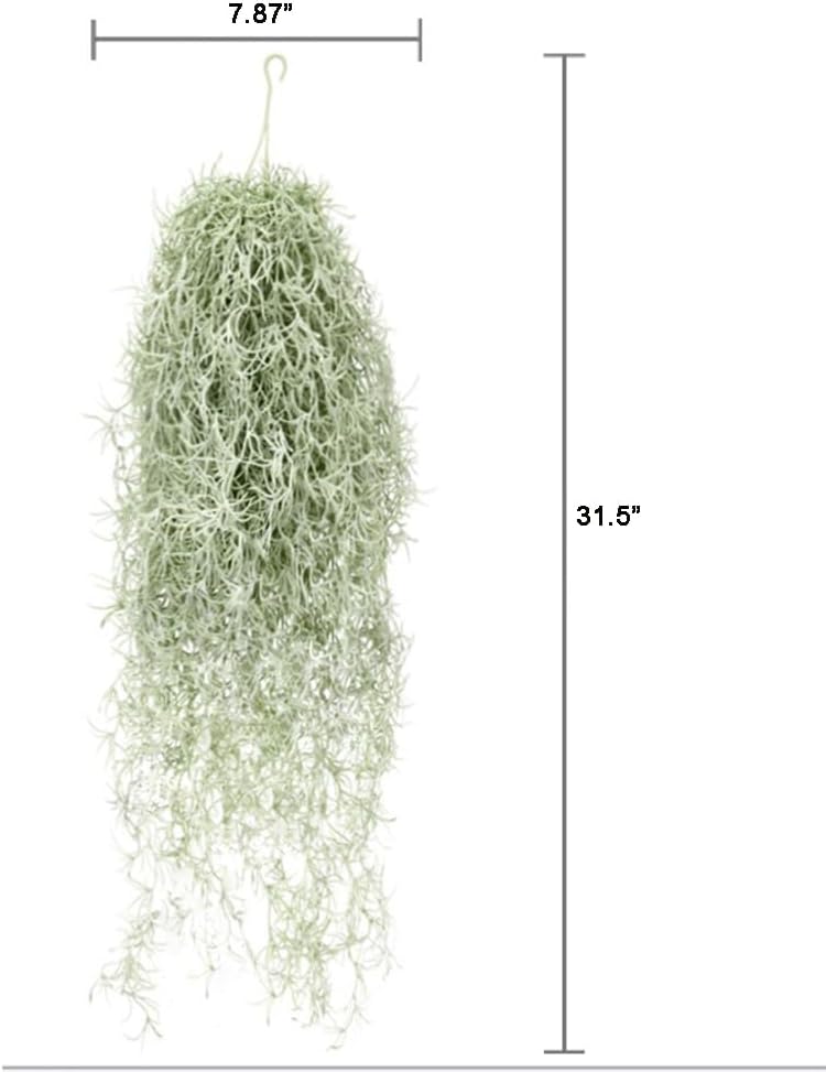 人工植毛ティランジアエアプランツ 31 インチ スパニッシュ - Sphagnum Moss Dry のレビューと価格