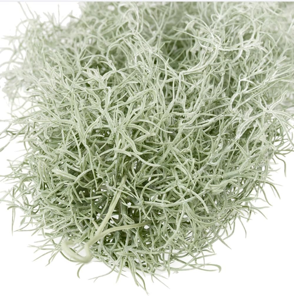 人工植毛ティランジアエアプランツ 31 インチ スパニッシュ - Sphagnum Moss Dry のレビューと価格