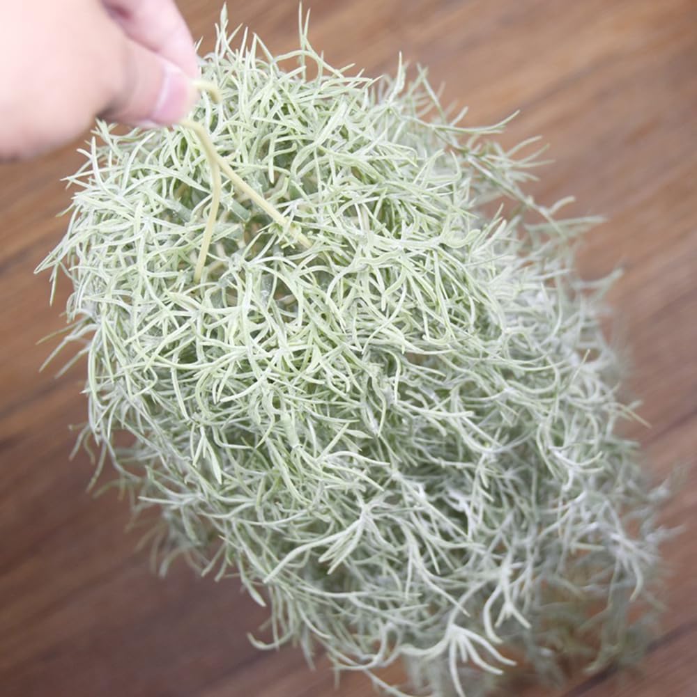 人工植毛ティランジアエアプランツ 31 インチ スパニッシュ - Sphagnum Moss Dry のレビューと価格