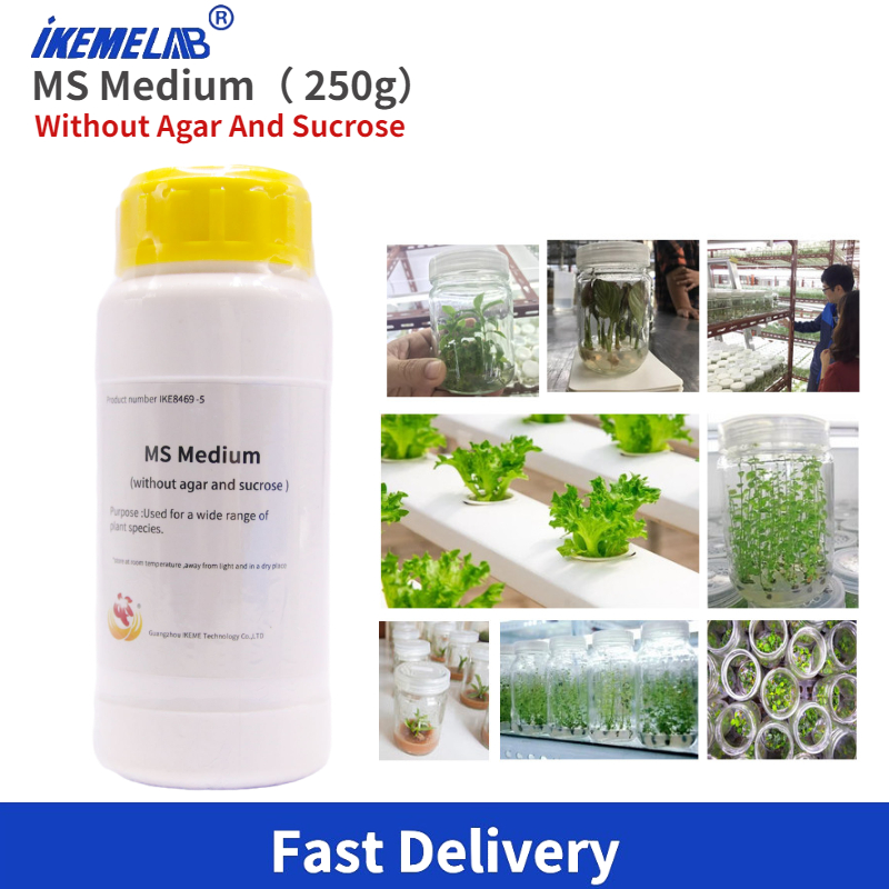 IKEME Lab MS 中 250g 寒天と砂糖なし 植物 - Agar Tissue Culture のレビューと価格
