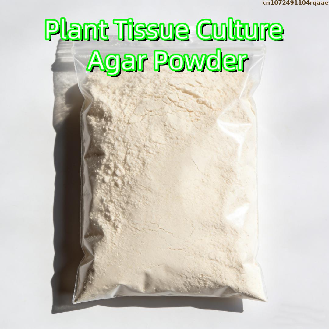 プレミアム植物組織培養寒天粉末 高ゲル強度 マイクロプロパゲ - Agar Tissue Culture のレビューと価格