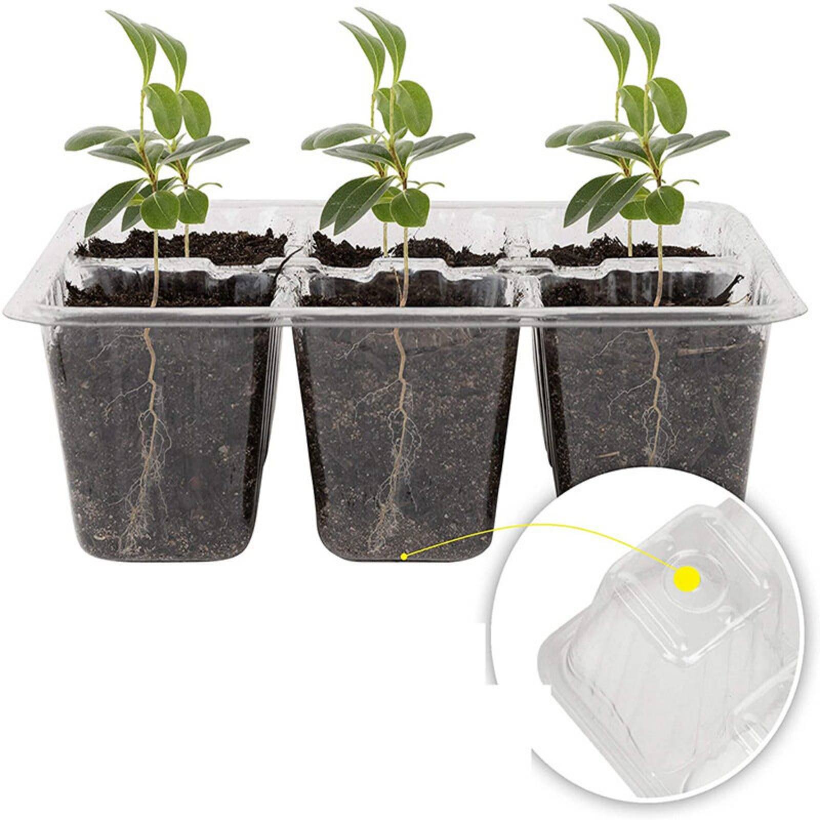 12区画発芽トレイ高透明蓋付き12区画発芽キット発芽トレイ湿 - Humidity Dome Kit のレビューと価格
