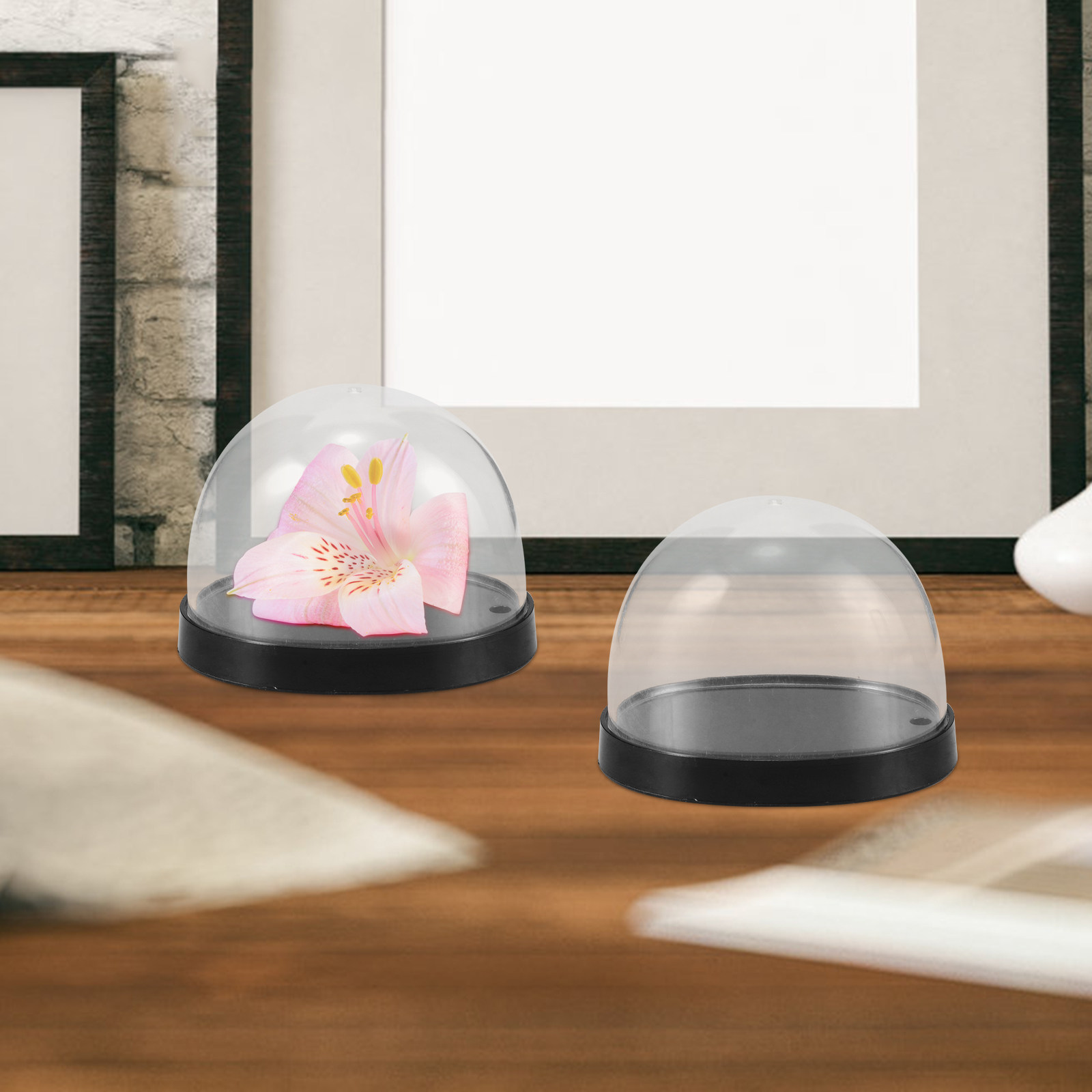 5セット高透明プラスチック製クロシェドーム、花用装飾ディスプ - Plastic Dome Clear のレビューと価格