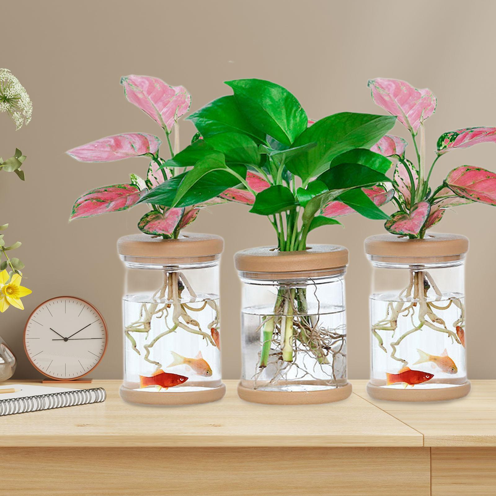 3 個の水耕栽培花瓶装飾花瓶農家バルコニーキャビネット用 - Propagation Station Vase のレビューと価格
